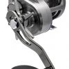 Overhead Reels Daiwa Saltiga 35HA SD Overhead Fishing Reel