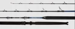 Daiwa 20 SALTIGA TOURNAMENT Overhead Game Fishing Rod