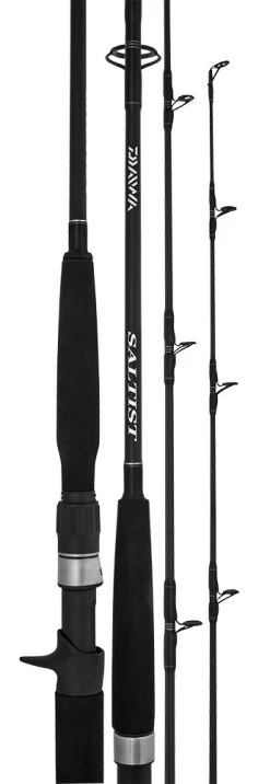 Overhead Rods Daiwa Saltist BW Overhead Fishing Rods