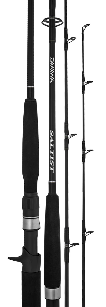 Spinning Rods Daiwa Saltist BW Spinning Fishing Rod 1 Spinning Rods Daiwa Saltist BW Spinning Fishing Rod