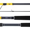 Surf Rods Spinning Daiwa Seabass Spinning Fishing Rods