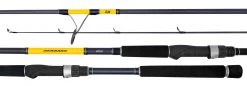 Surf Rods Spinning Daiwa Seabass Spinning Fishing Rods