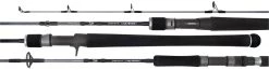 Daiwa Sale Daiwa 20 TD SALTWATER Spinning Casting Fishing Rod